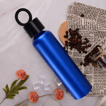 Vacuum Insulated Water Bottle with Phone Holder