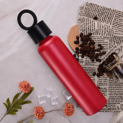 Vacuum Insulated Water Bottle with Phone Holder