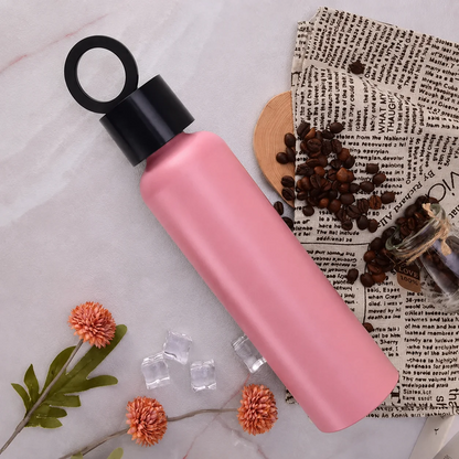 Vacuum insulated water bottle with phone holder